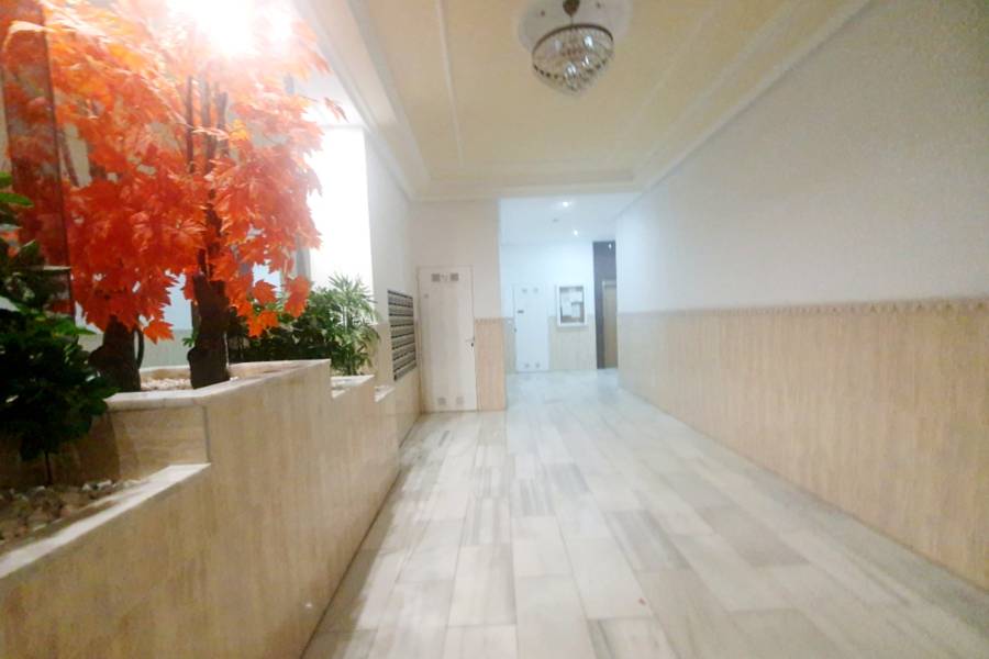 Reventa - ÁTICO - Torrevieja - CENTRO 