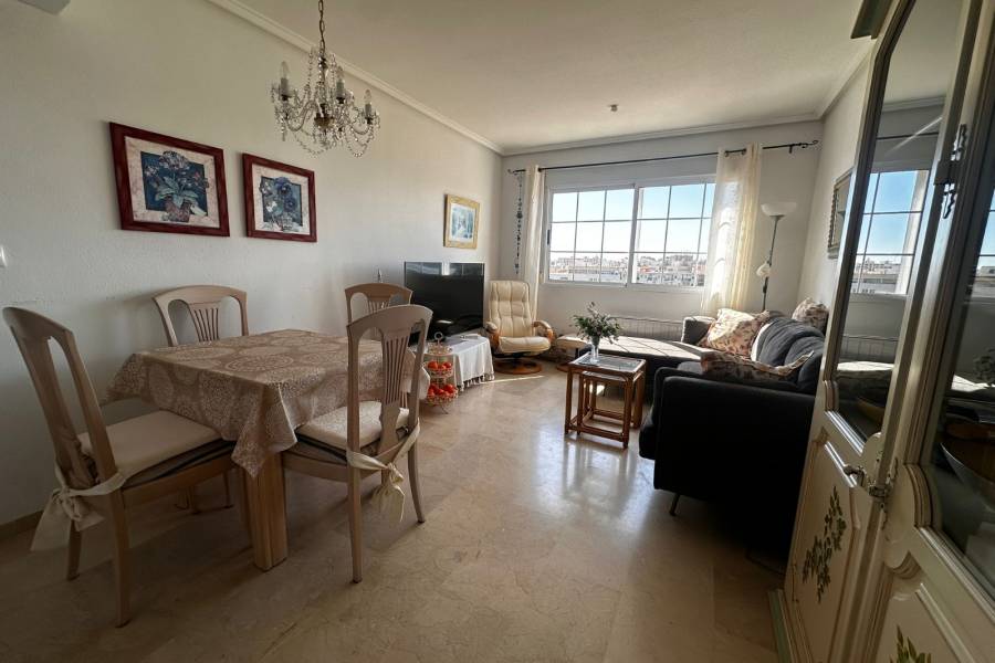 Alquiler / Alquiler de Temporada - Apartamento - La Marina - urbanizaciones/ playa 