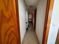 Alquiler / Alquiler de Temporada - Apartamento - La Marina - urbanizaciones/ playa 