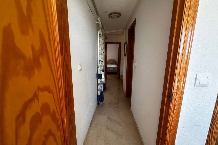 Alquiler / Alquiler de Temporada - Apartamento - La Marina - urbanizaciones/ playa 