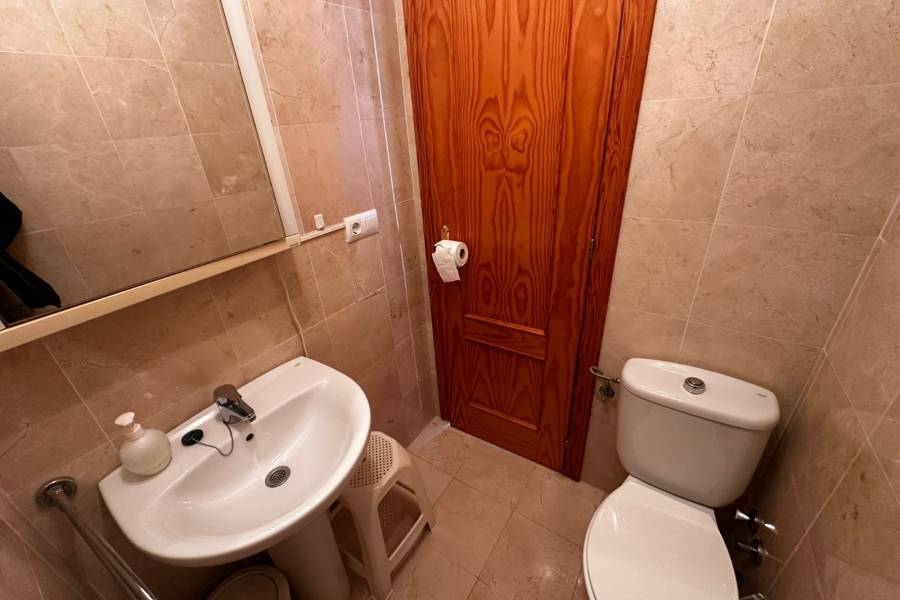 Alquiler / Alquiler de Temporada - Apartamento - La Marina - urbanizaciones/ playa 