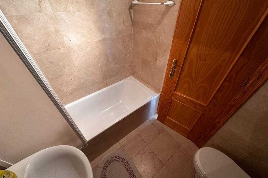 Alquiler / Alquiler de Temporada - Apartamento - La Marina - urbanizaciones/ playa 