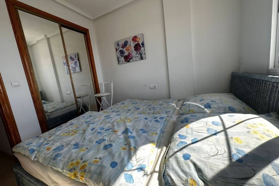 Alquiler / Alquiler de Temporada - Apartamento - La Marina - urbanizaciones/ playa 