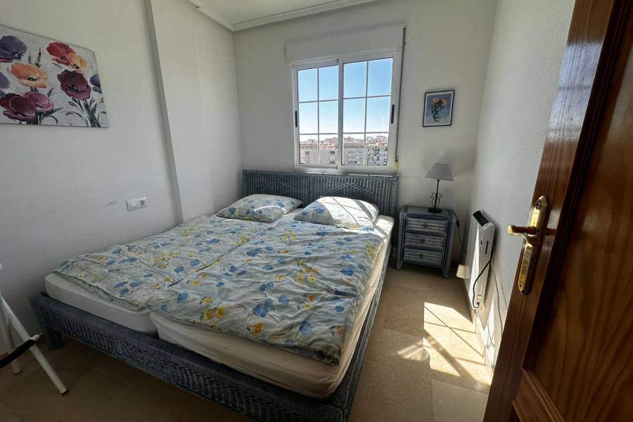 Alquiler / Alquiler de Temporada - Apartamento - La Marina - urbanizaciones/ playa 