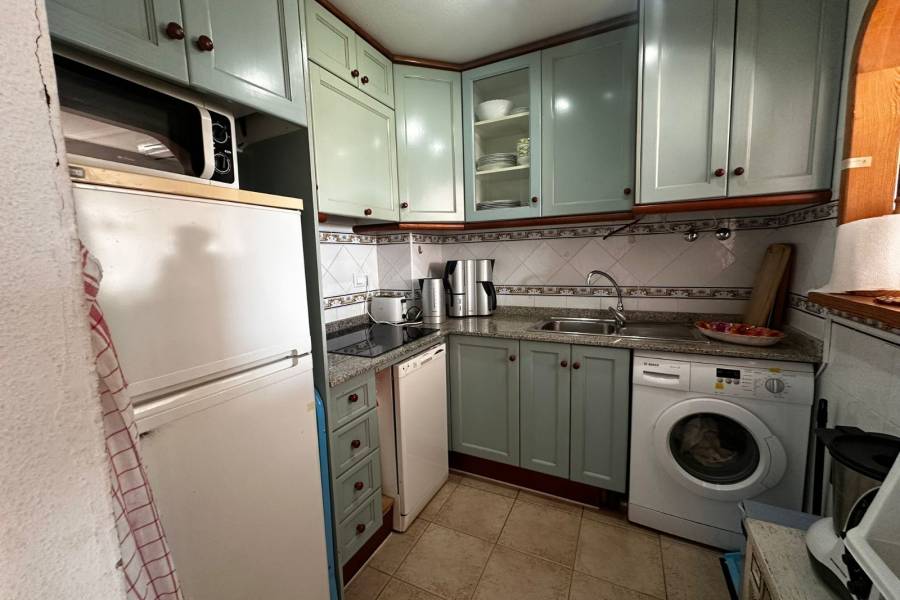 Alquiler / Alquiler de Temporada - Apartamento - La Marina - urbanizaciones/ playa 