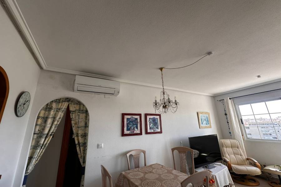 Alquiler / Alquiler de Temporada - Apartamento - La Marina - urbanizaciones/ playa 