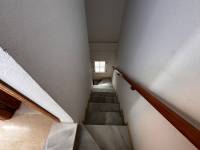 Alquiler / Alquiler de Temporada - Apartamento - La Marina - urbanizaciones/ playa 