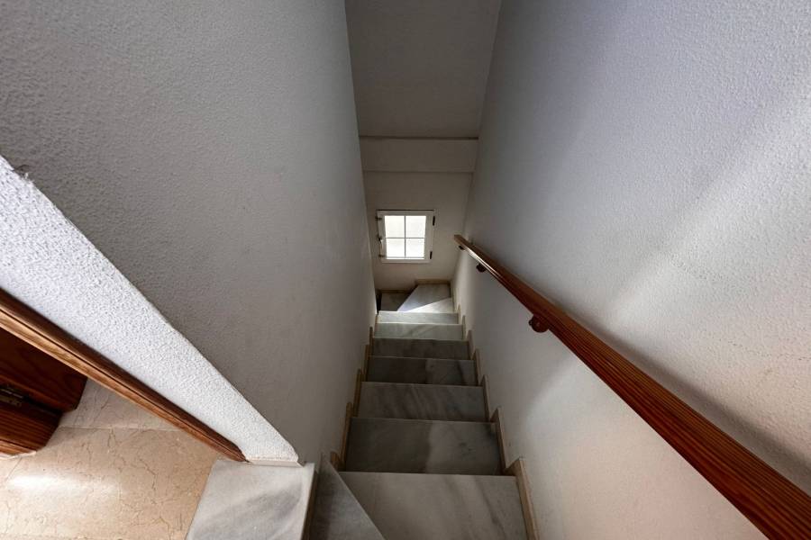 Alquiler / Alquiler de Temporada - Apartamento - La Marina - urbanizaciones/ playa 