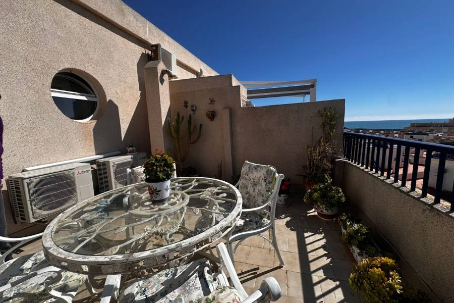 Kurzzeitmiete - Wohnung - La Marina - urbanizaciones/ playa 