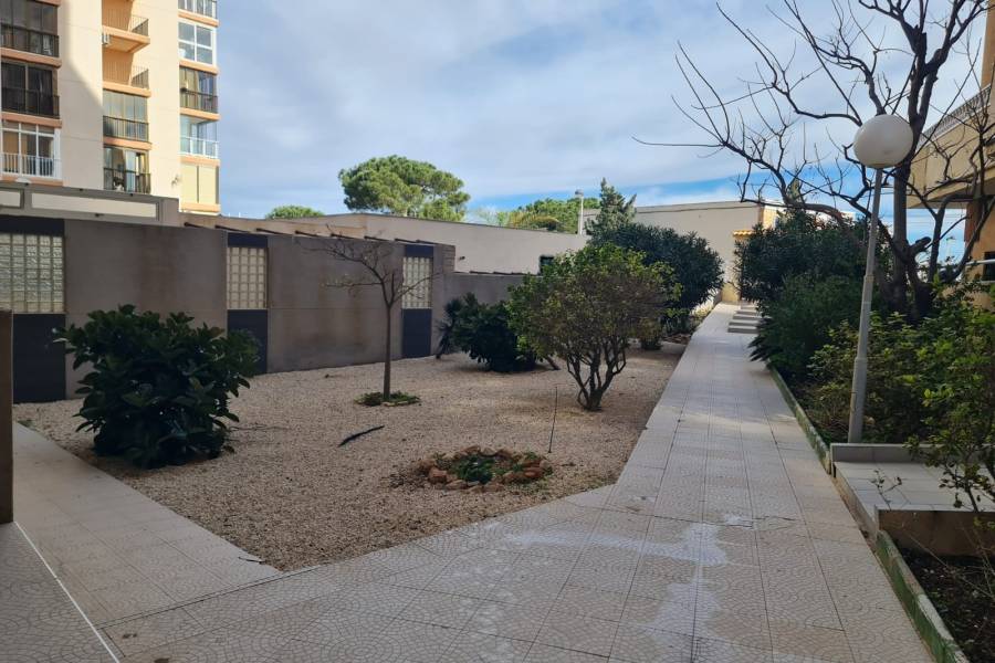Перепродажа - Aпартамент - Torrevieja - La Mata