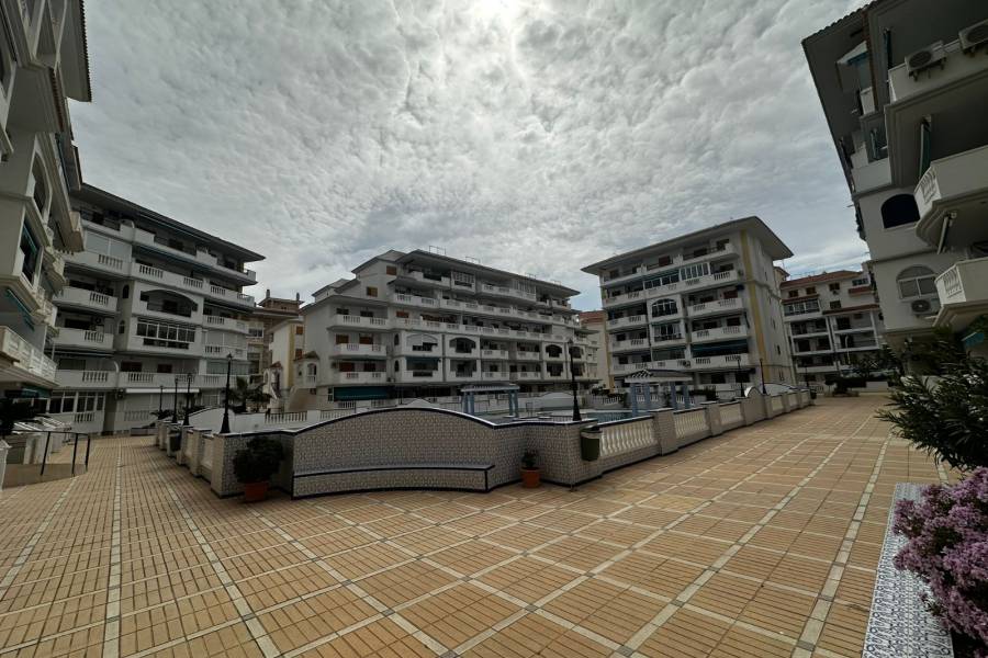 Перепродажа - Aпартамент - Ла-Мата - Los Europeos/ PLAYA