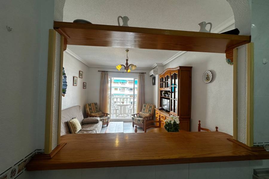 Перепродажа - Aпартамент - Ла-Мата - Los Europeos/ PLAYA