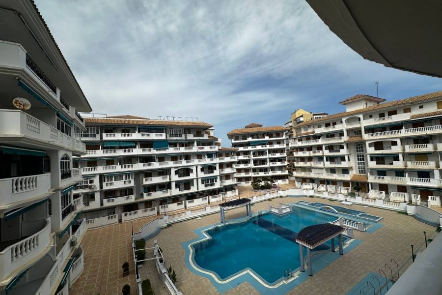 Перепродажа - Aпартамент - Ла-Мата - Los Europeos/ PLAYA