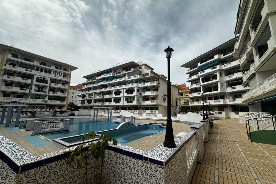 Перепродажа - Aпартамент - Ла-Мата - Los Europeos/ PLAYA