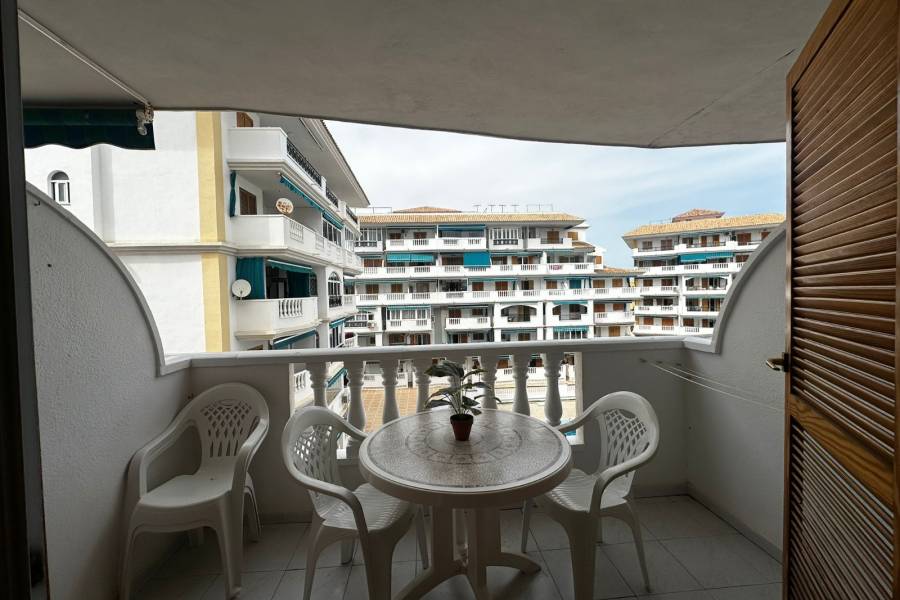 Перепродажа - Aпартамент - Ла-Мата - Los Europeos/ PLAYA