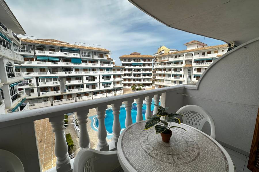 Перепродажа - Aпартамент - Ла-Мата - Los Europeos/ PLAYA