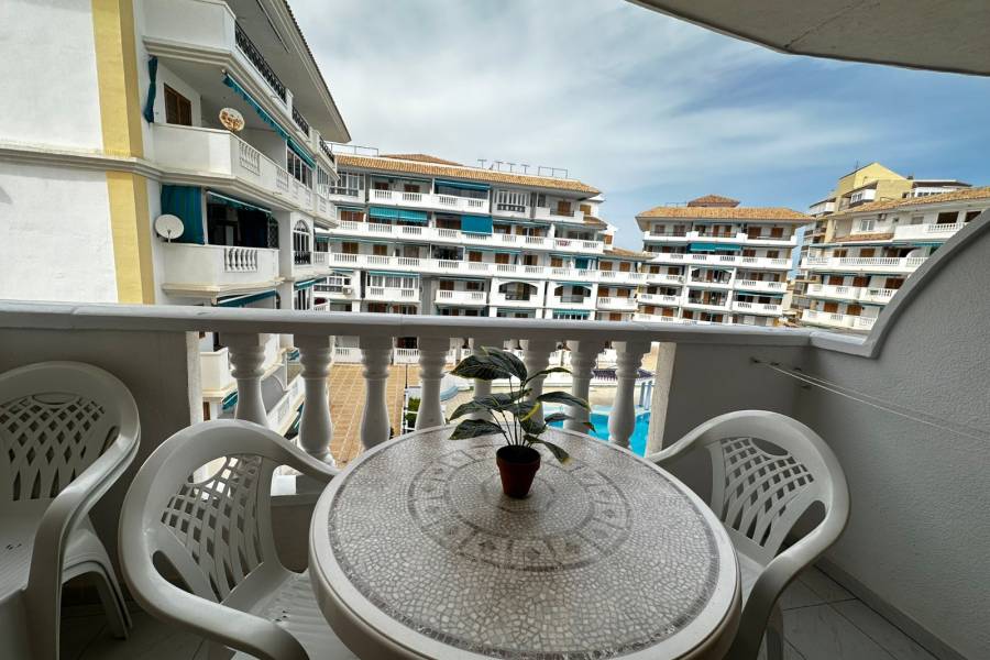 Перепродажа - Aпартамент - Ла-Мата - Los Europeos/ PLAYA