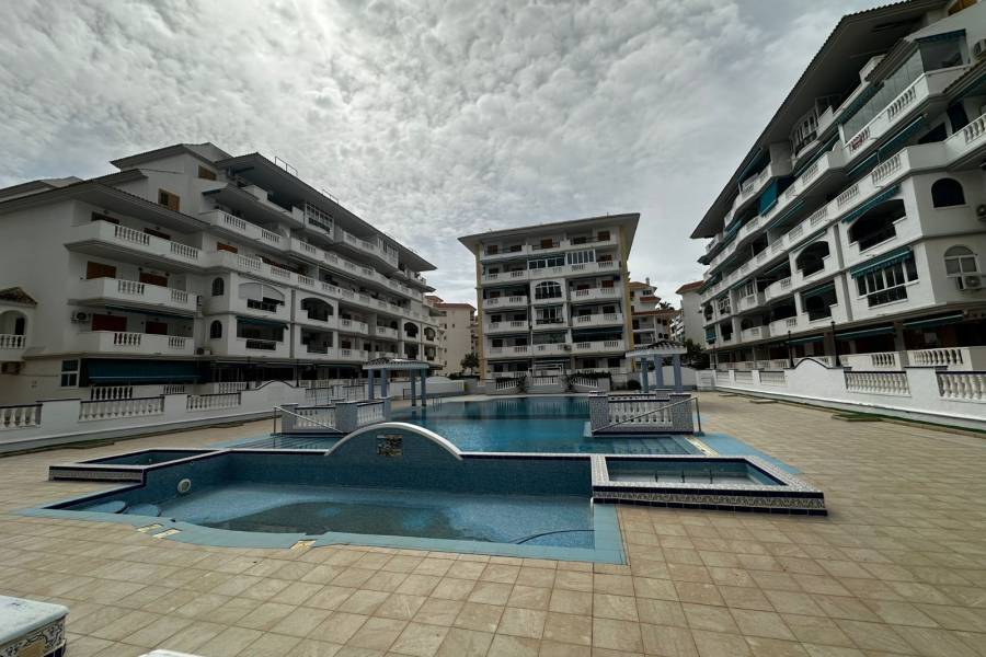 Перепродажа - Aпартамент - Ла-Мата - Los Europeos/ PLAYA