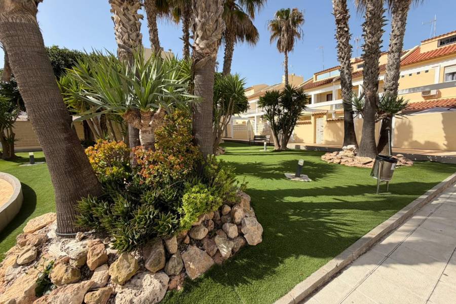 Reventa - Apartamento - Torrevieja - La Mata