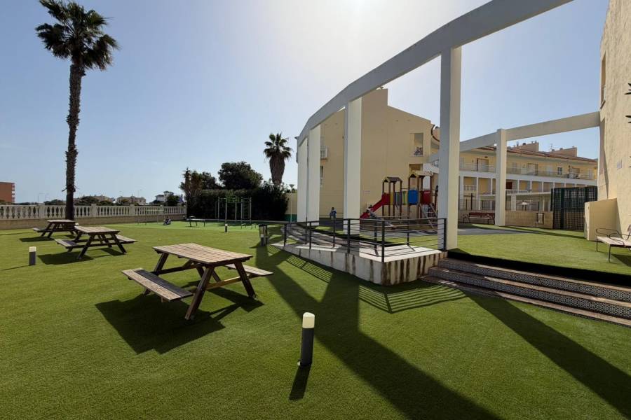 Reventa - Apartamento - Torrevieja - La Mata