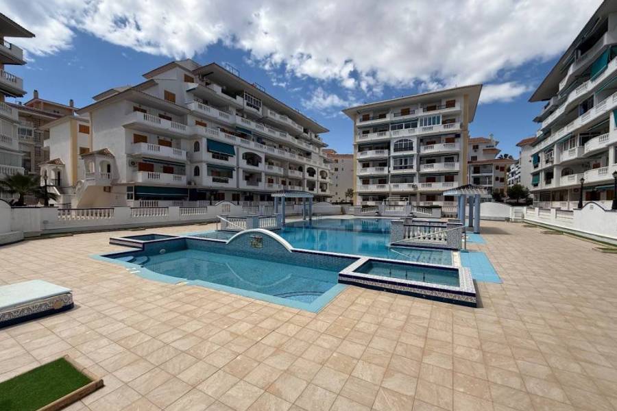 Weiterverkauf  - Wohnung - Torrevieja - La Mata