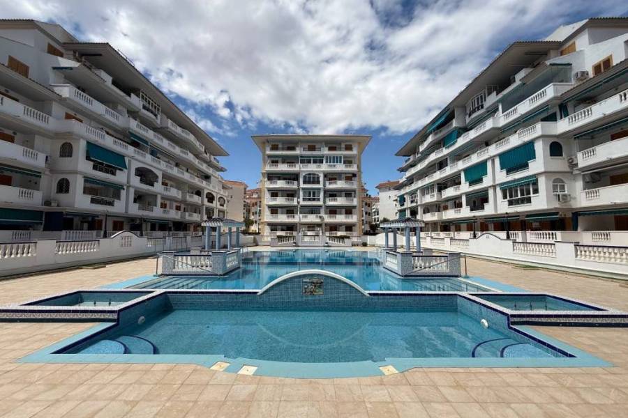 Weiterverkauf  - Wohnung - Torrevieja - La Mata