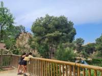 Перепродажа - Дом - Рохалес - Rojales