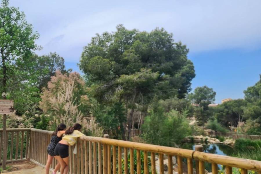 Перепродажа - Дом - Рохалес - Rojales