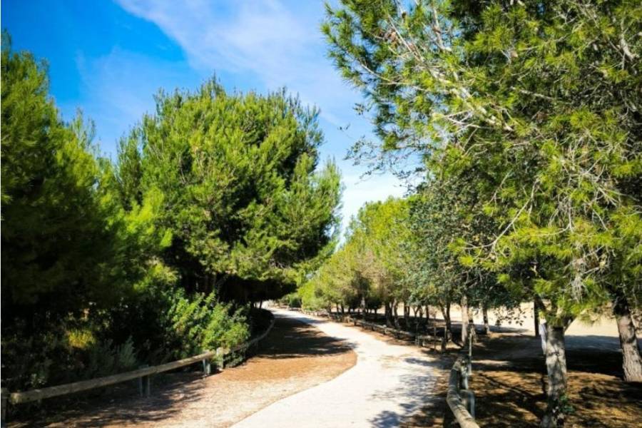 Перепродажа - Дом - Рохалес - Rojales