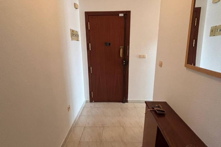 Reventa - Apartamento - Torrevieja - Acequion
