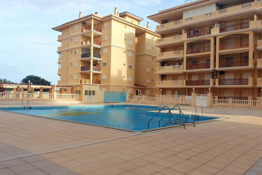 Alquiler - Apartamento - Torrevieja - Torre la mata