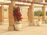 Alquiler - Apartamento - Torrevieja - Torre la mata