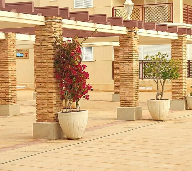 Alquiler - Apartamento - Torrevieja - Torre la mata