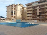 Alquiler - Apartamento - Torrevieja - Torre la mata