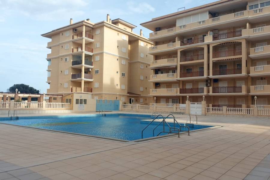 Alquiler - Apartamento - Torrevieja - Torre la mata