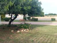 Alquiler - Apartamento - Torrevieja - Torre la mata