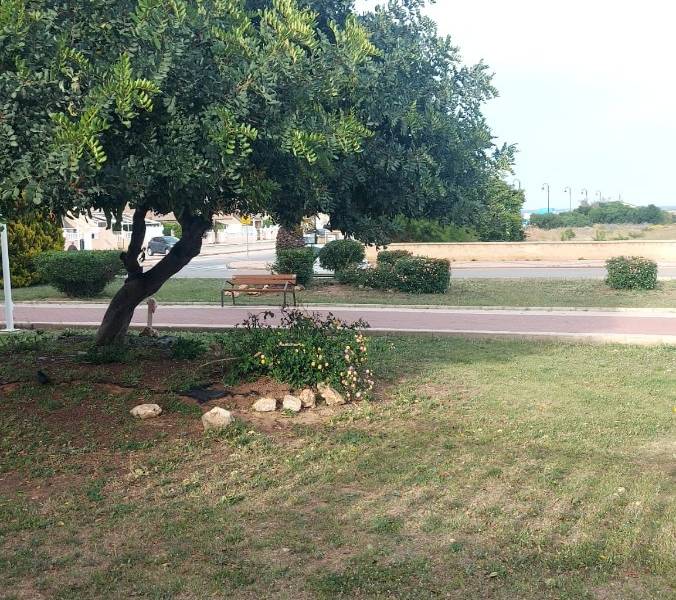 Alquiler - Apartamento - Torrevieja - Torre la mata