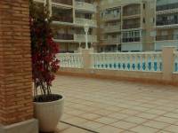 Alquiler - Apartamento - Torrevieja - Torre la mata