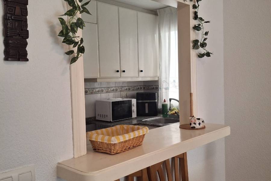 Alquiler - Apartamento - Torrevieja - La Mata pueblo