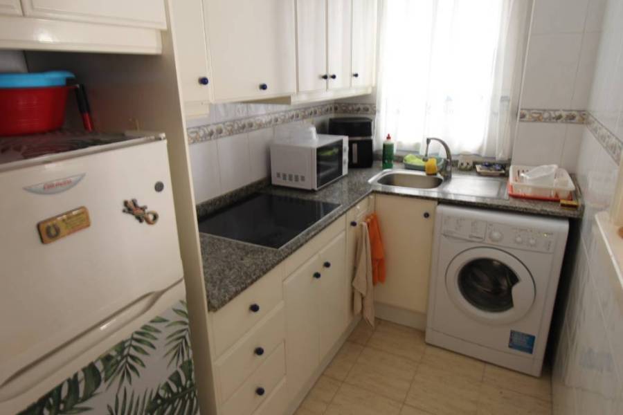 Alquiler - Apartamento - Torrevieja - La Mata pueblo