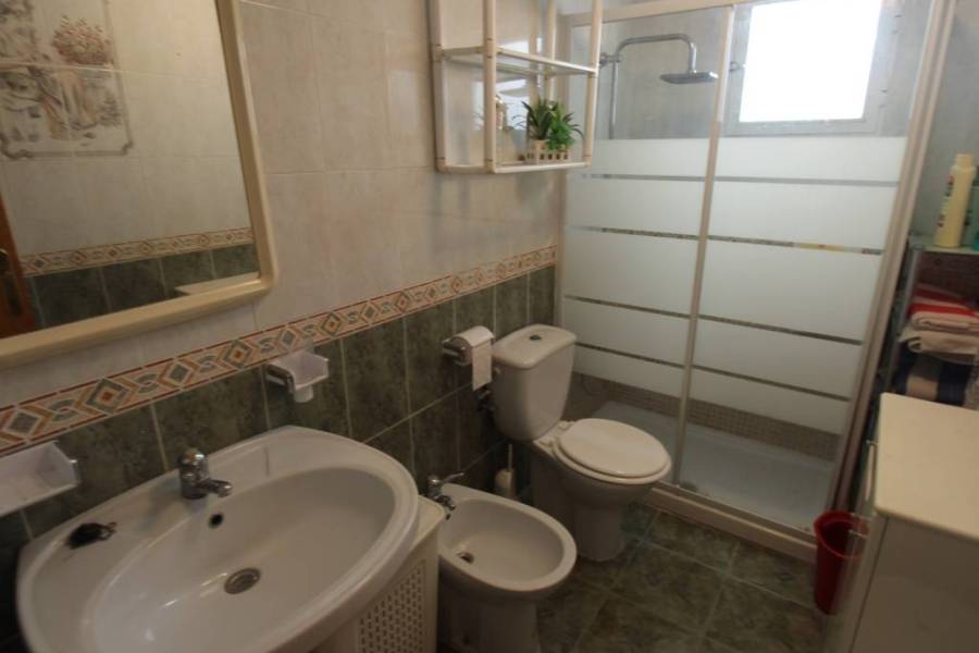 Alquiler - Apartamento - Torrevieja - La Mata pueblo