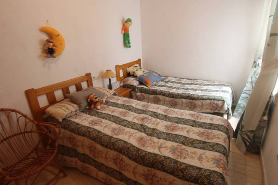 Alquiler - Apartamento - Torrevieja - La Mata pueblo