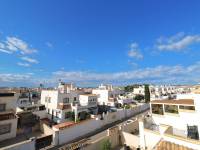 Reventa - Chalet - Torrevieja - Jardín del Mar