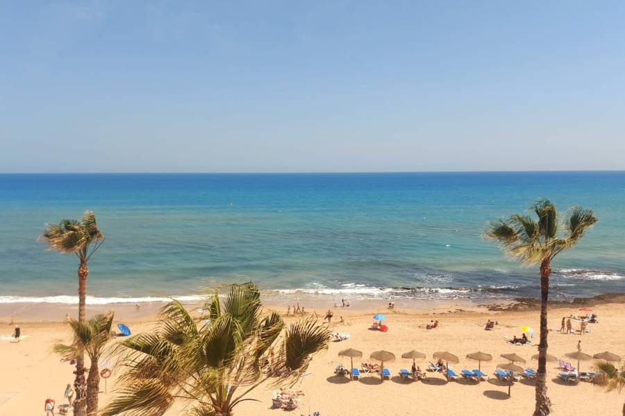 Alquiler - Apartamento - Torrevieja - La Mata