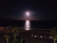 Alquiler - Apartamento - Torrevieja - La Mata