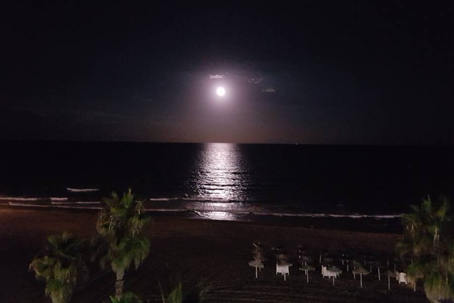 Alquiler - Apartamento - Torrevieja - La Mata