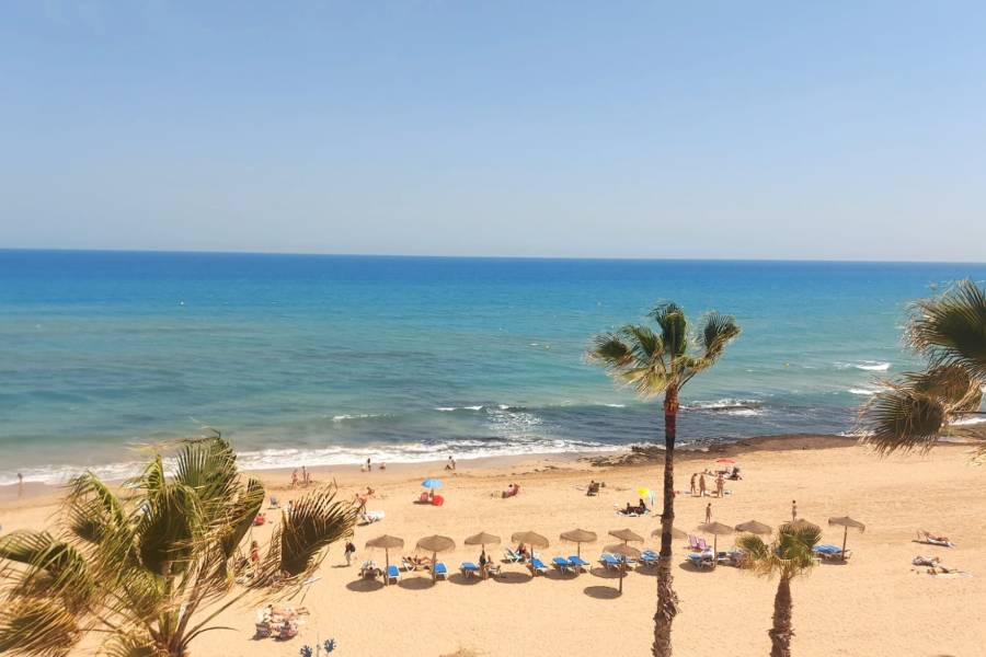 Alquiler - Apartamento - Torrevieja - La Mata