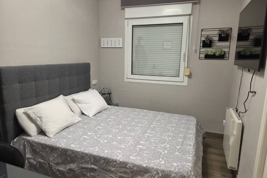 Alquiler - Apartamento - Torrevieja - La Mata