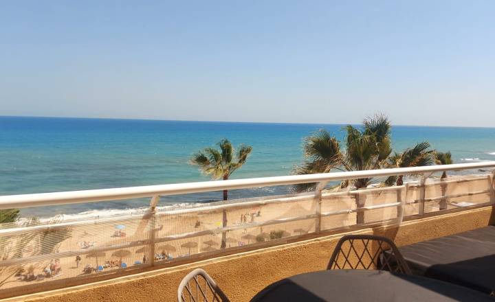 Apartamento - Alquiler - Torrevieja - La Mata