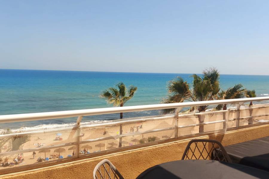 Alquiler - Apartamento - Torrevieja - La Mata
